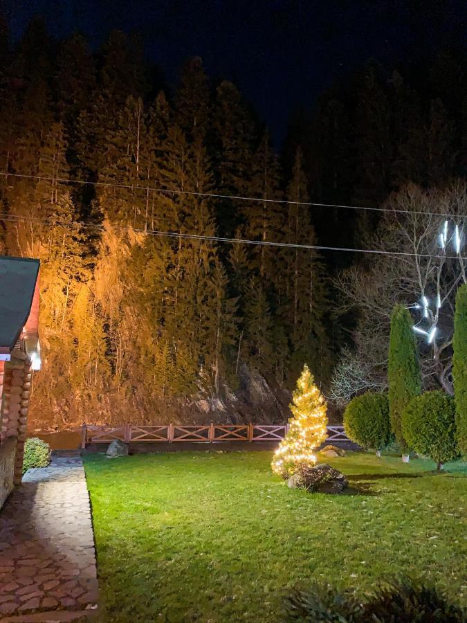Forest House Tatariv Ngoại thất bức ảnh