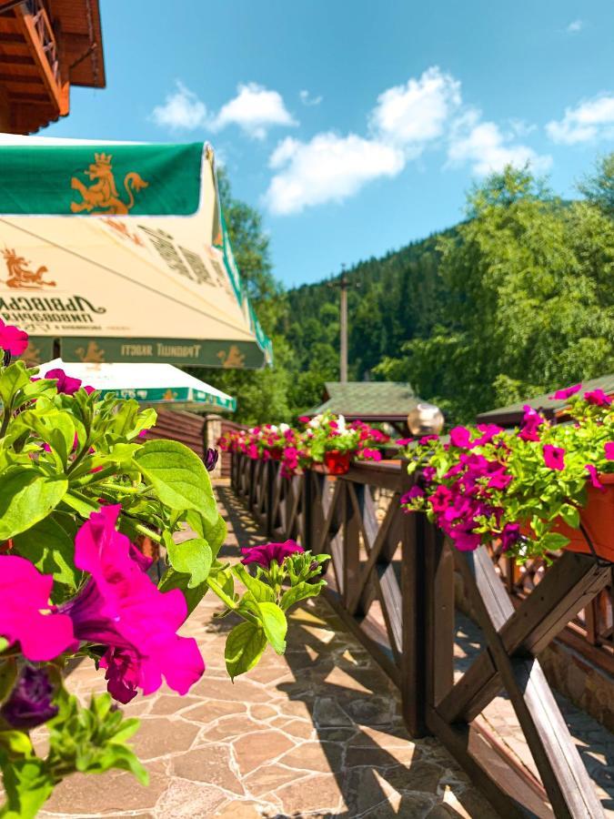 Forest House Tatariv Ngoại thất bức ảnh