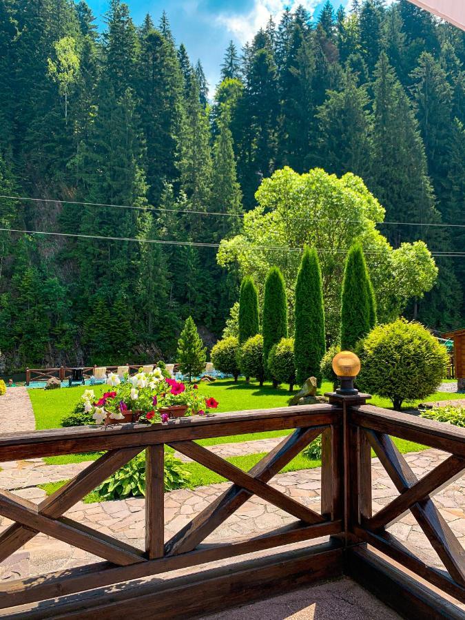 Forest House Tatariv Ngoại thất bức ảnh