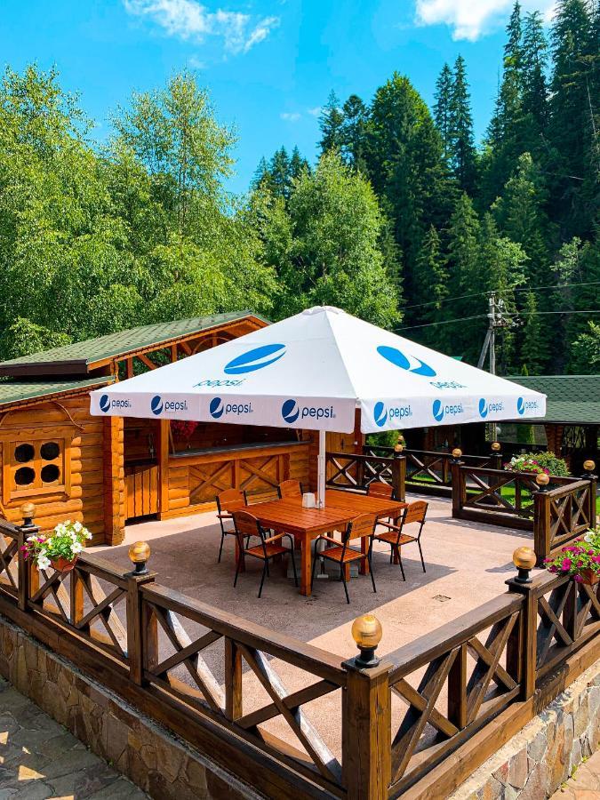 Forest House Tatariv Ngoại thất bức ảnh