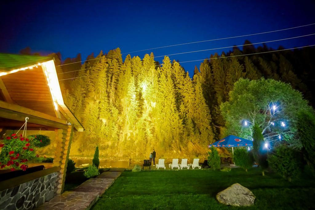 Forest House Tatariv Ngoại thất bức ảnh